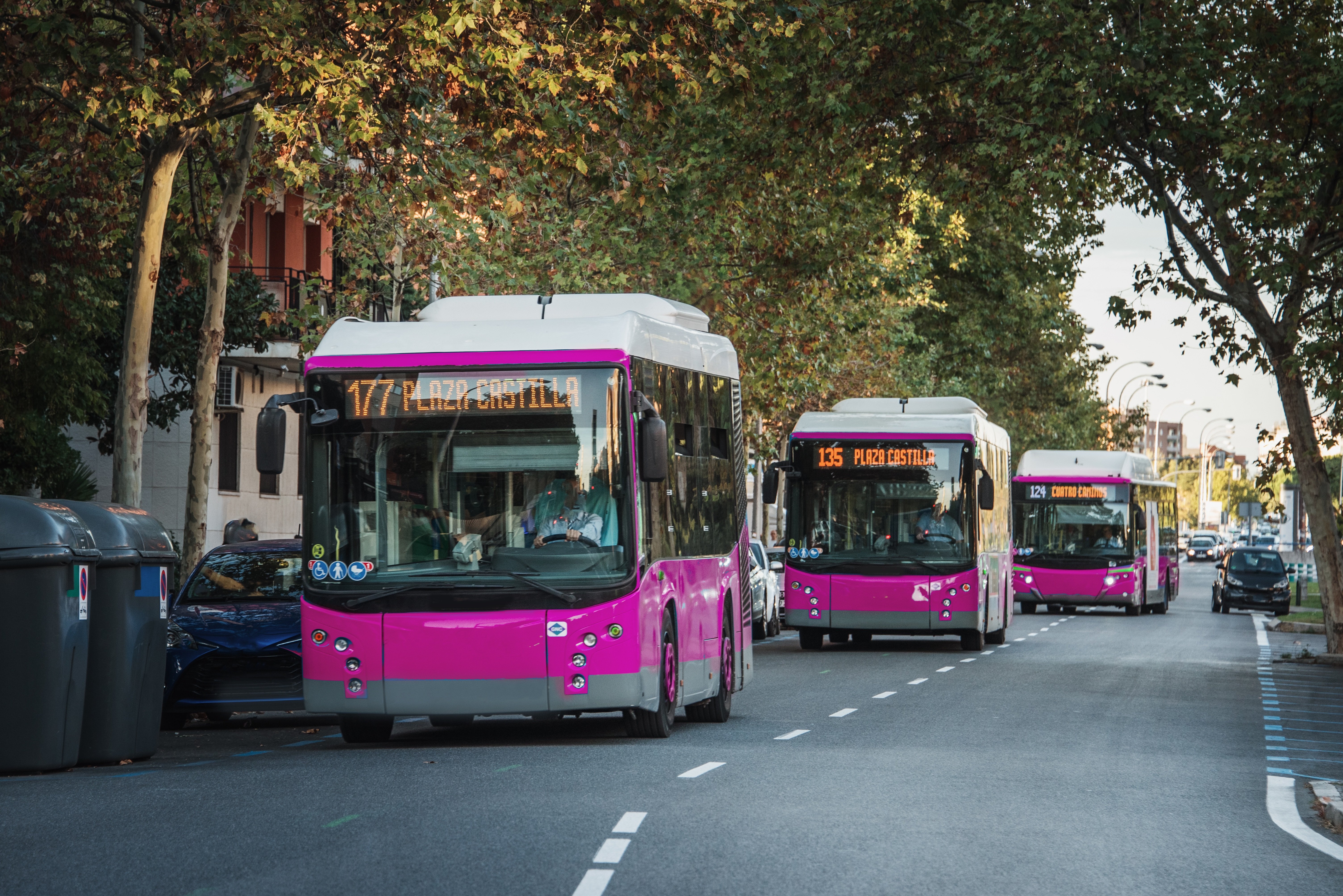 Buses_City_Madrid